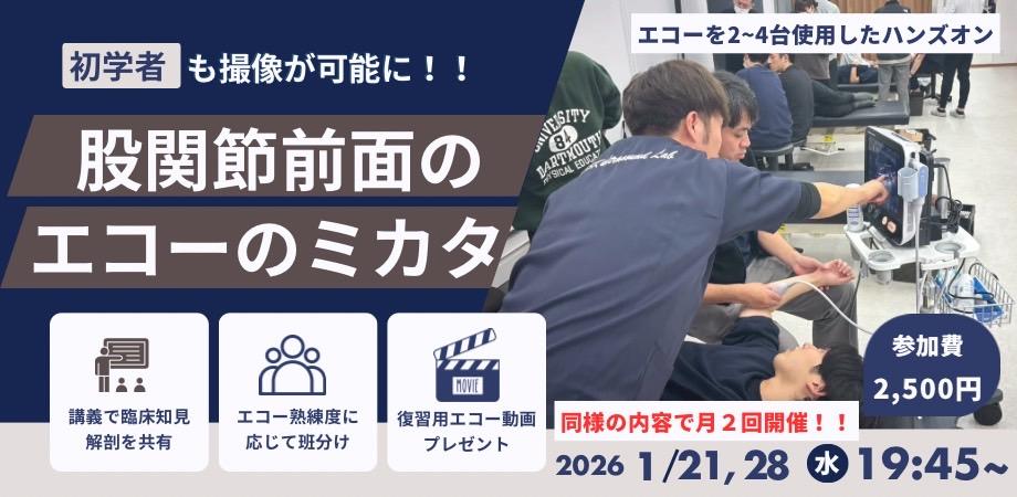股関節前面のエコーのミカタ